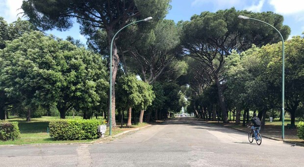 Latina avrà uno skate park: area attrezzata all'interno del Parco Falcone Borsellino