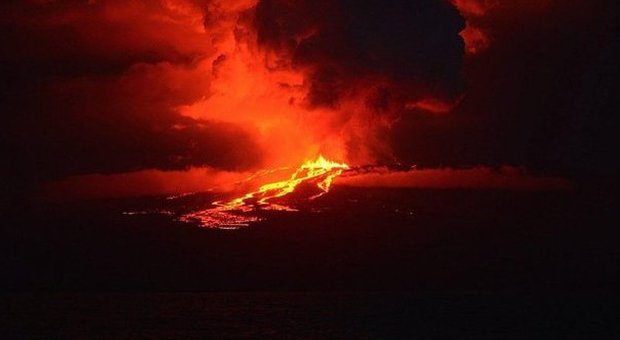 Galapagos, il vulcano Wolf erutta dopo 33 anni sull'isola delle iguane rosa