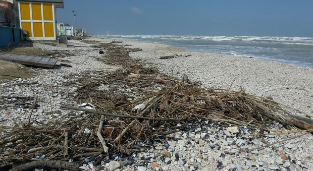 Marotta, la bora inghiotte la spiaggia e dissemina di detriti tutto il litorale