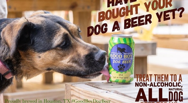 Arriva la birra per cani: li aiuta a digerire grazie alla curcuma