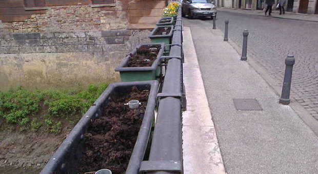 I vasi di ponte San Paolo, a Vicenza, dai quali sono state rimosse le viole