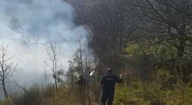 Boschi in fiamme in Irpinia, devastati 40mila mq di macchia
