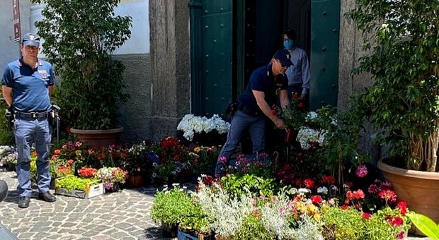 Napoli, multato fioraio ambulante e le 200 piante sequestrate vanno in beneficenza