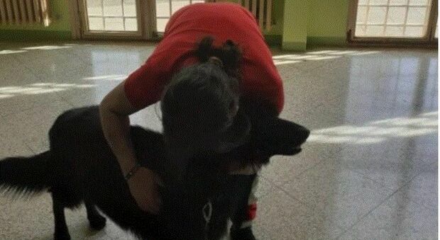 Lecce, in carcere da un anno ma nessuno lo va a trovare: la direttrice lo autorizza a riabbracciare il suo cane per un giorno