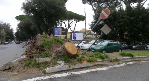 Roma, chiusa per caduta alberi la laterale di viale Terme di Caracalla