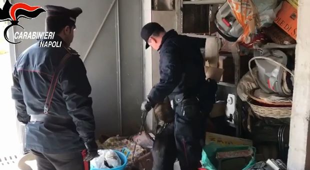 Castellammare, revolver e droga nascosti in garage: scovati con le unità cinofile