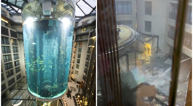 Berlino, esploso l'acquario cilindrico più grande al mondo: rovesciati un milione di litri d'acqua salata e 1.500 pesci esotici