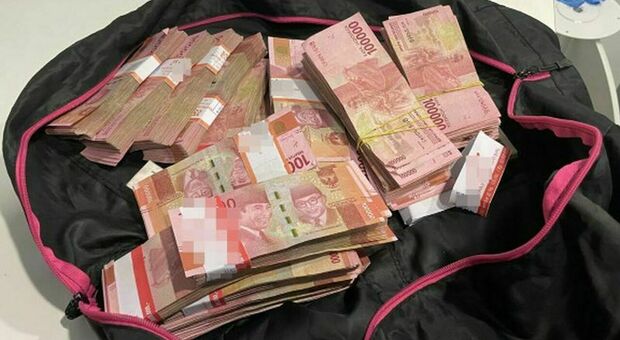 Reddito di cittadinanza, scoperta truffa da mezzo milione di euro: 39 furbetti con borse piene di soldi