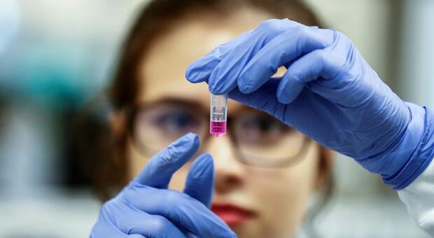 Coronavirus, Astrazeneca amplia accordo su offerta vaccino con Oxford Biomedica