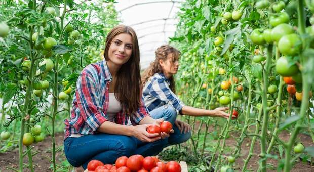 Agricoltura, prima scelta per il lavoro al femminile
