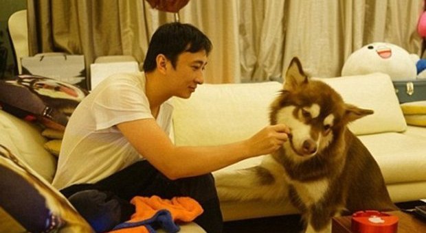 Wang Sicong e il suo cane Foto W Sicong