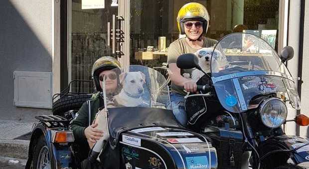 Due donne, due cani, una moto e un sidecar: il viaggio per dire no all'abbandono degli animali