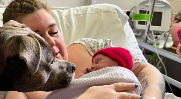 Belle, la prima cagnolino a cui è stato concesso il permesso di entrare in sala parto per supportare la sua padroncina