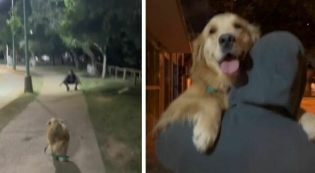Passeggia con il cane e incontra l'ex fidanzato, la reazione del cucciolo la spiazza (e il video diventa subito virale)