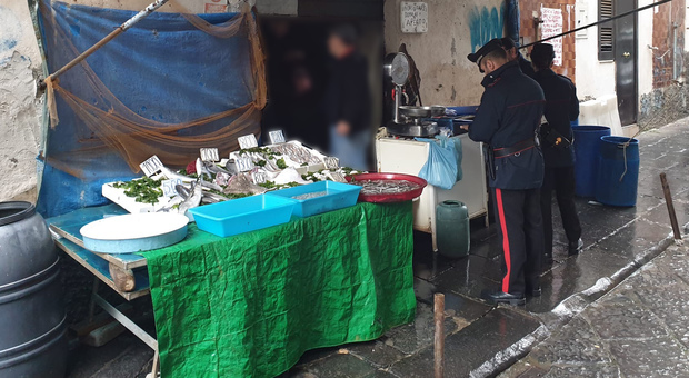 Napoli, scoperta una pescheria completamente abusiva: sequestrata