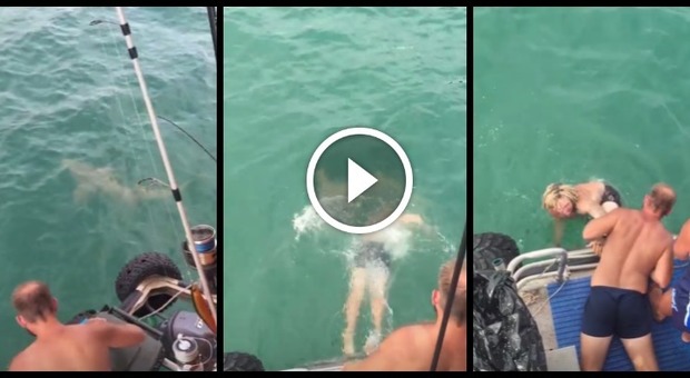 Paura in mare: Il ragazzo tenta di catturare uno squalo ma viene morso