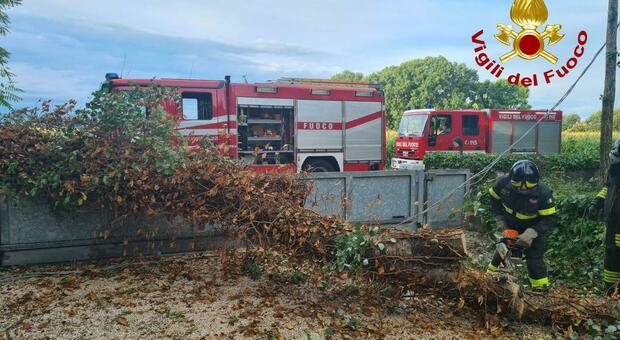 Maltempo nel Trevigiano: 15 interventi dei vigili del fuoco