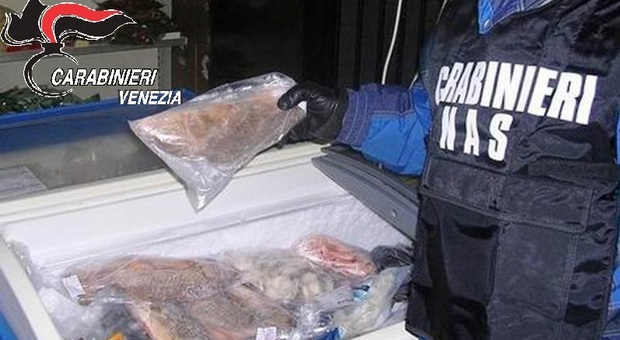 Blitz in una macelleria-pescheria etnica: sequestrati 10 chili di prodotti pericolosi