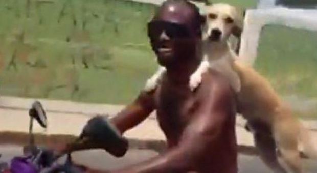 In scooter in due, ma dietro c'è il cane: il video dal Brasile impazza in Rete