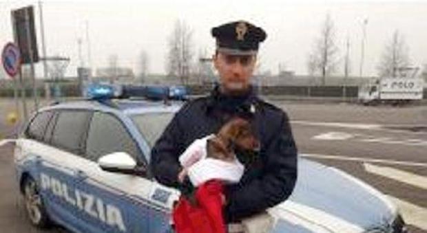 Lanciano un cagnolino in autostrada, salvato da automobilisti e Polstrada