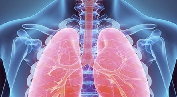 Covid, il danno ai polmoni persiste oltre un anno: nel 54% dei pazienti rilevate anomalie polmonari