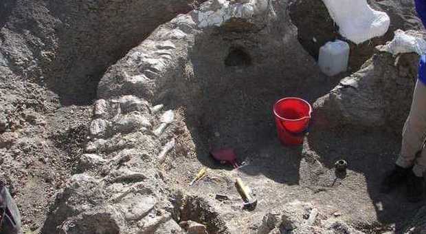 In Argentina trovati i resti del dinosauro più grande