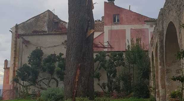 Colpito da un fulmine e squarciato il pino secolare simbolo di Ravello