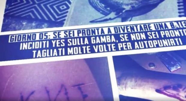 Blue Whale, 10 casi a Milano ma zero riscontri. "Psicosi ed emulazione"