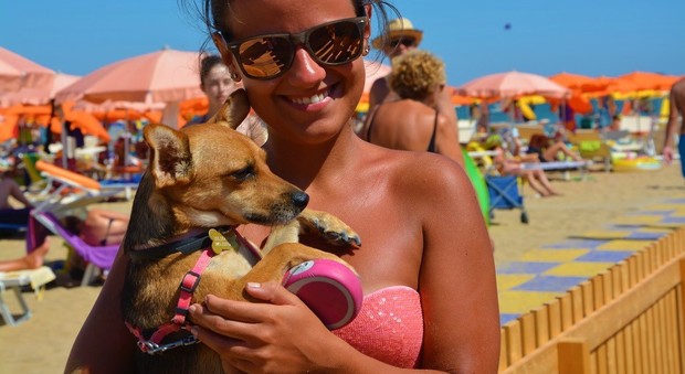 In spiaggia con Fido: per lui ombra, il "salva-cane", sdraio e le doccette
