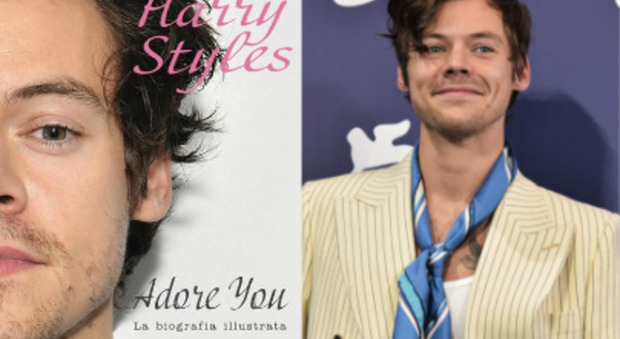 Harry Styles presenta la sua prima biografia illustrata: «Adore You» è disponibile nelle librerie e negli store digitali