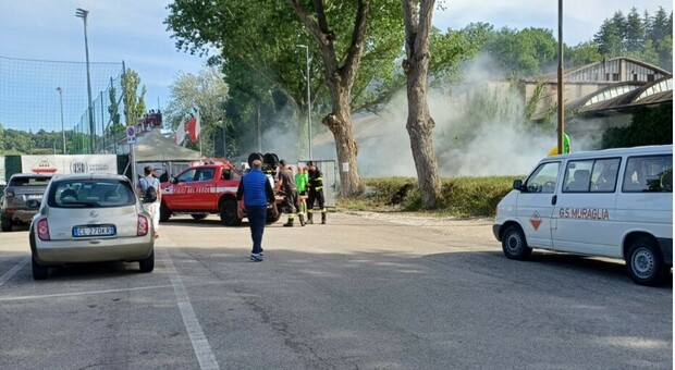 Incendio al campo sportivo del Muraglia: pioppi in fiamme, vigili del fuoco in azione