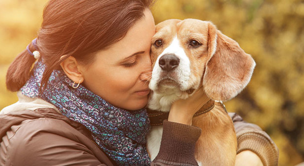 "I cani odiano essere abbracciati": ecco perché non dovreste mai farlo