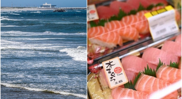 Fukushima e l'acqua radioattiva, ci sono pericoli per il pesce che arriva sulle nostre tavole?