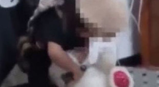 Isis, bimbo di 3 anni sgozza il suo orsacchiotto di peluche in un video