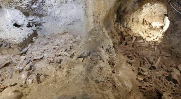 Neanderthal, i resti di 9 uomini trovati al Circeo. Franceschini: «Straordinario»