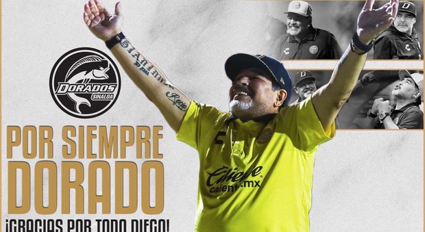 Maradona lascia i Dorados «Abbiamo sorpreso il mondo»
