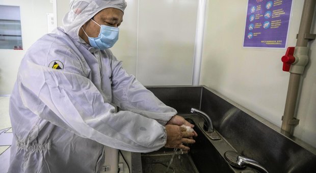 Coronavirus, lo studio di Science: «Più efficace isolare i casi e lavare le mani che restringere i viaggi»