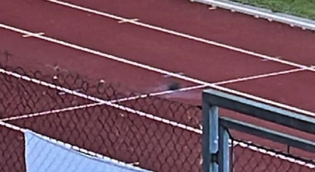 Il buco lasciato dalla bomba carta nella pista di atletica