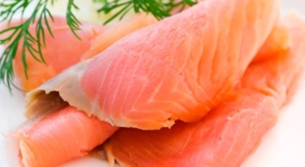 I 10 buoni motivi per non mangiare salmone: ecco perché fa male alla salute -Leggi