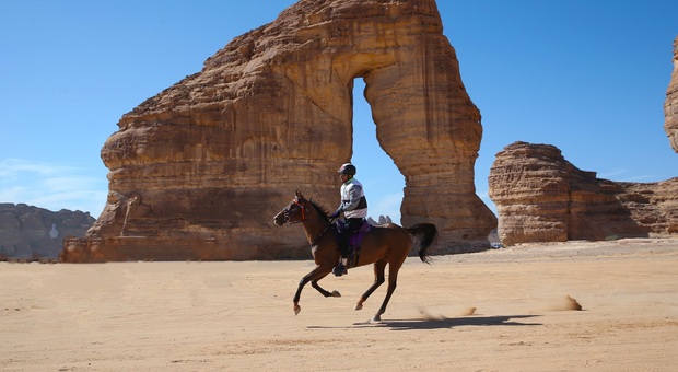 Endurance equestre, l'Italia protagonista in Arabia: una delle gare più importanti al mondo organizzata da società umbre