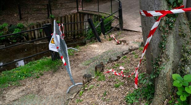 Pordenone. Vandalismi e muri imbrattati ogni tre giorni: il Comune costretto a pagare 10mila euro per sistemare i danni