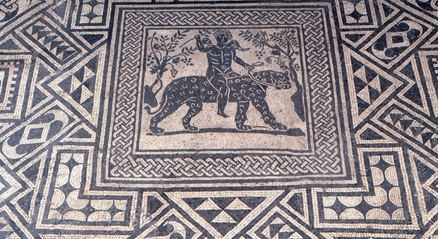 Il mosaico della pantera