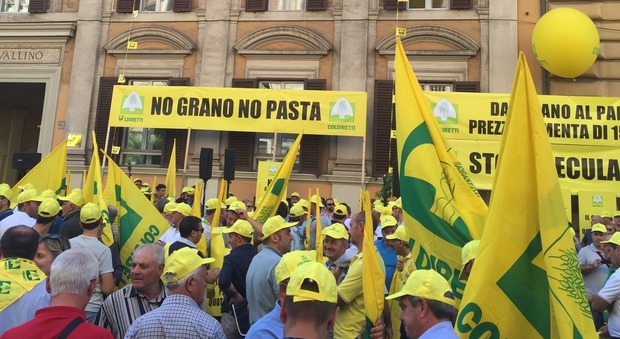 Esplode la protesta del grano: presidio di Coldiretti Rieti a Roma