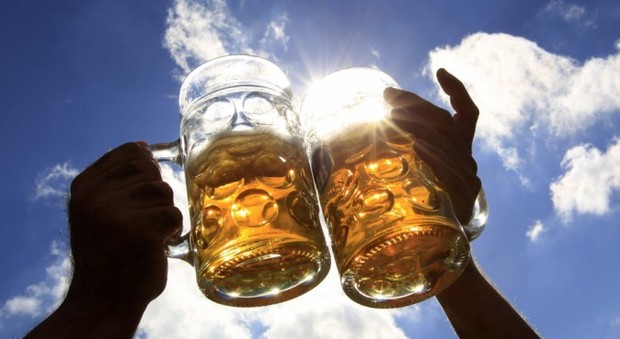 Birra, una al giorno protegge il colesterolo “buono”