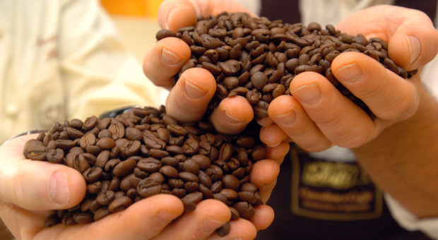 America, la Bestherbs Coffee LLC ritira dal mercato la sua bibita al "viagra naturale"