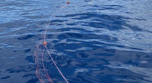Pesca di frodo nel Cilento: sequestrati 6 chilometri di rete