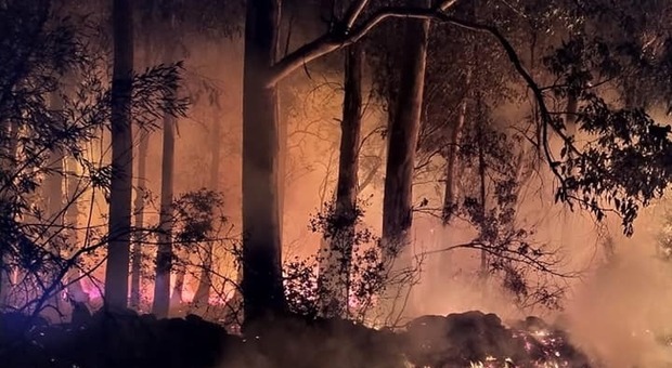 L'incendio scoppiato nel bosco de "Li Lei" a Lizzanello