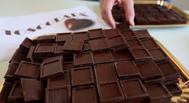 Cercasi mangiatori di cioccolata, l'appello dell'Università