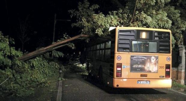 Due alberi s'abbattono su un bus al Lido: tanta paura ma nessun ferito