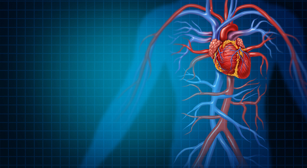 Un fattore genetico aumenta i rischi di infarto e ictus: la scoperta degli scienziati